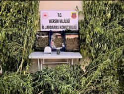 Jandarmadan Uyu�turucu operasyonu